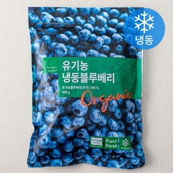 딜라잇가든 유기가공식품 인증 블루베리 (냉동), 900g, 1개