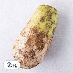 곰곰 친환경 무, 1개입, 2개