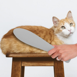 딩동펫 고양이 혓바닥 그루밍 스틱 26.5 x 5.5 cm, 그레이, 1개