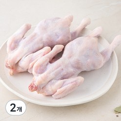 곰곰 유황먹여 키운 두마리 통닭 백숙용(냉장), 1.1kg, 2개