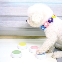 리스펫 말하는 강아지 녹음벨 훈련용품 4종 세트, 핑크, 그린, 옐로우, 블루, 1세트