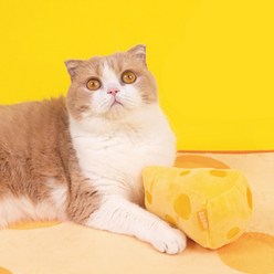 요기쏘 고양이 치즈 캣닢 인형, 옐로우, 1세트