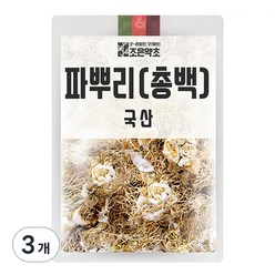 조은약초 파뿌리 총백, 200g, 3개