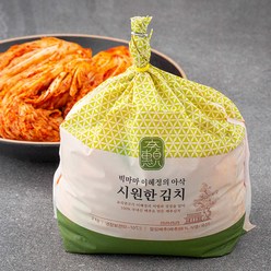 빅마마 이혜정의 아삭 시원한 김치, 3kg, 1개