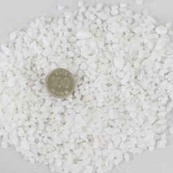 해피월드 원예용 인테리어 자갈 흰돌 1호 6kg, 1개