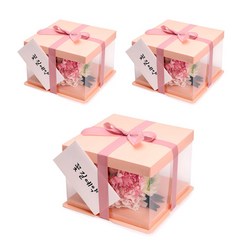 인디케이 피치 클리어 상자 소 3p + 꽃길예약 봉투 3p, 혼합색상, 1세트