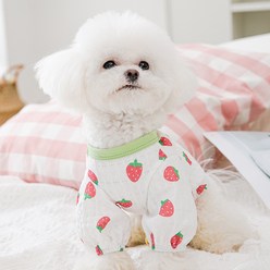 강아지딸기옷