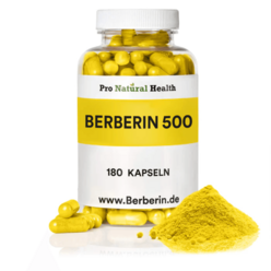 베르베린 독일 Berberine 500mg 180 비건 캡슐 6개월분, 옵션1, 1개
