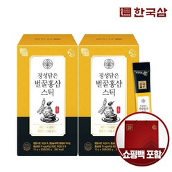 한국삼 정성담은 벌꿀 홍삼스틱 10g x 30포 x 2박스 / 쇼핑백 증정