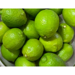 <제주직배송>제주 청레몬 친환경 유기농(농약X 화학비료X) 레몬 껍질째 먹을 수 있는 청레몬, 1박스, 1kg(사이즈혼합)