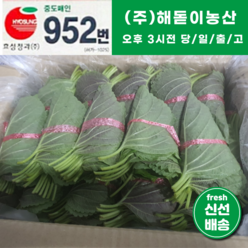 해돋이농산 국내산 깻잎 특품 1박스 2kg내외 (50속), 1박스(2kg내외)