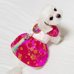 도기코디 홍련 원피스 강아지한복, 핑크