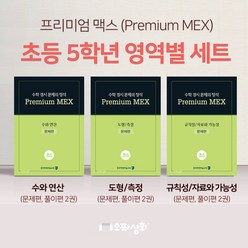 프리미엄 맥스 (초5 수학 영역별 3개 세트) 수와 연산 도형/측정 규칙성/자료와 가능성, 초등5학년