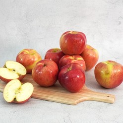 더조은 경북 홍로 사과 가정용 3kg 15-18과, 단품