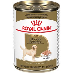 Royal Canin Breed Health Nutrition 래브라도 리트리버 성인용 소스 덩어리 통조림 개밥 13.5온스 12개입