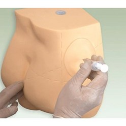 엉덩이근육주사모형 KarT1 주사실습시뮬레이터 간호사실습모형