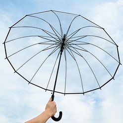 생활광장 블랙라인 투명 자동 장우산 튼튼한 우산