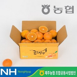 [쇼핑엔티] [제주농협] 귤로장생 황금향 3.5kg, 없음, 1개