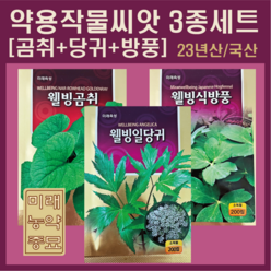 23년산 국산 약용작물 씨앗 3종 세트-곰취 일당귀 방풍, 1개