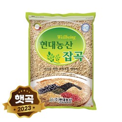 현대농산 국산 쌀보리 2kg, 단품