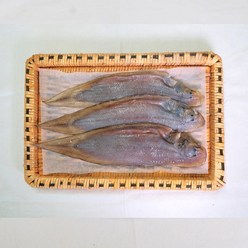 삼천포 용궁수산시장 반건조 생선 서대 3미