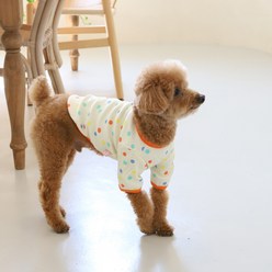 강아지옷 롤링 땡땡이 골지 티셔츠, 옐로우