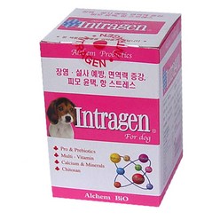 알켐바이오 인트라젠 200정 종합영양제, 1개, 면역력 강화