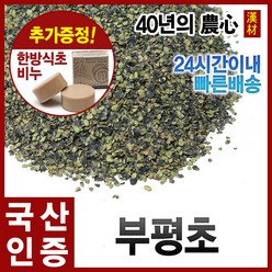 자애인 국산 부평초 600g 개구리밥 경북영천, 1개