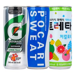 포카리240mlx(10캔)+게토레이240mlx(10캔)+토레타240(10캔), 단품, 상세 설명 참조