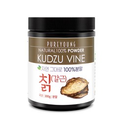 퓨어영 국산 칡 분말 300g 갈근 가루, {국내산}칡{갈근}분말300g, 1개