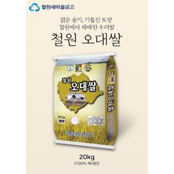 [2023년산] 철원오대쌀 20kg, 1