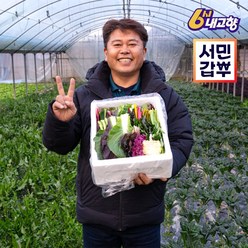 서민갑부 모듬채소 20종 양주농부 클로렐라 쌈채소 유러피안 샐러드 야채 600g-1.2kg, 1박스, 클로렐라쌈채소 600g