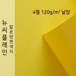 뉴씨플레인 종이문화 얇은 양면색지 120g 4절 낱장 1매 No.06 연노랑색, 1장