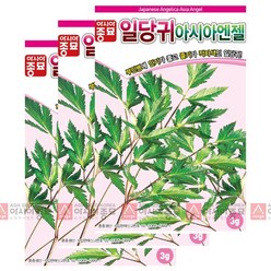 아시아종묘/당귀씨앗종자 일당귀(3gx3), 3개