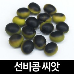 선비콩 씨앗 선비잡이콩 토종 콩 재래종 종자 50알, 1개