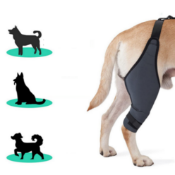 강아지 슬개골 탈구 무릎 고관절 다리 보호대 보조기, (옵션7)오른발(뒷다리용)XL, 1개