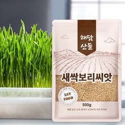 국산 새싹보리씨앗 1kg (500g x 2봉) 지퍼백 소포장 l 컽보리 보리새싹 키우기, 500g, 2개