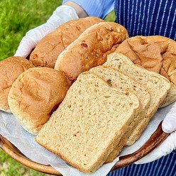 흰밀가루없는빵 100%통밀빵 호밀빵 (식빵/모닝빵/견과빵/단팥빵), 3.통밀견과빵