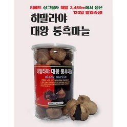 흑마늘 통흑마늘 발효 숙성 히말라야 흙마늘 효능 500g, 2개, 히말라야통흑마늘500gx2