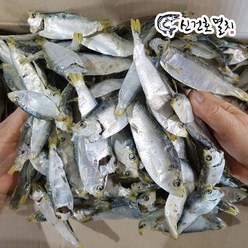 신건호멸치 육수용 국산 디포리(상급) / 건디포리 밴댕이 멸치, 1.5kg, 1개