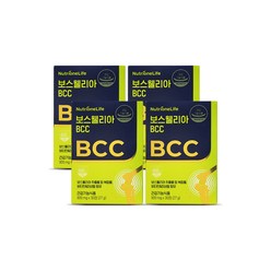 뉴트리원 정우성 관절 연골 보스웰리아 BCC 비씨씨 900 mg X 30정 + 청소박사, 4박스