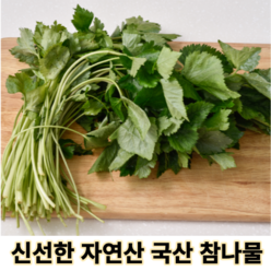 당일수확] 고품질 신선한 자연산 국산 생 참나물 400g 1kg 녹색채소 국내산참나물 제철나물 봄나물 나물채소 나물야채 나물반찬 반찬용 가정용 업소용 농장직송, 1개