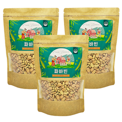 웰리즈 파바빈 잠두 식물성 단백질 콩 원물 500g, 500g(1개), 3개