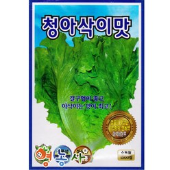 청아삭이 맛상추씨앗 1500립, 1세트