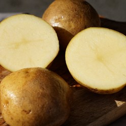 FRESH 무농약 유기농 강원도 제주도 감자, 1박스, 친환경감자 3kg (40~80g)