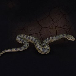 뱀 모형 파충류 동물 미니어처 놀이감 구렁이 얼룩뱀, 1개