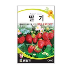 세계종묘 딸기씨앗 100립, 1개