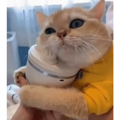 고양이 마사지 강아지 마사지기(투트랙 돌돌이 증정), 04유광 핑크