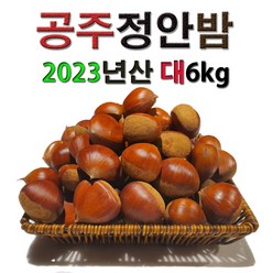 공주밤 정안밤 알밤 햇밤 고맛나루밤 맛 대보 생율 햇 국산 특산물 간식 특산품 왕밤 대6kg, 1개