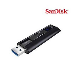 샌디스크 Extreme PRO CZ880 256GB USB 메모리 3.1 대용량 유에스비 256기가 CS